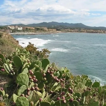 House La Caillere Basse Six-Fours-les-Plages